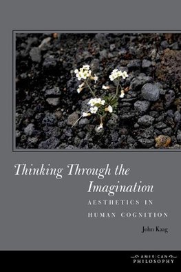 Thinking Through the Imagination