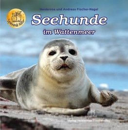 Seehunde im Wattenmeer