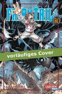 Fairy Tail 30