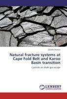 Natural fracture systems at Cape Fold Belt and Karoo Basin transition