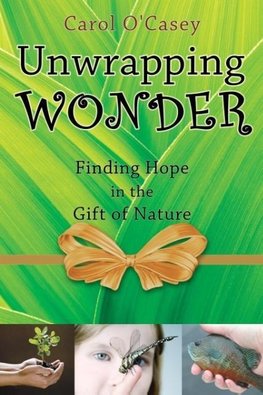 Unwrapping Wonder