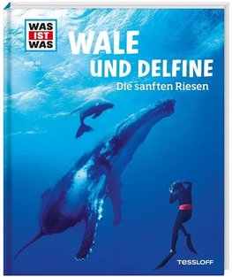 Wale und Delfine. Die sanften Riesen