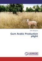 Gum  Arabic Production plight