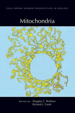 Mitochondria