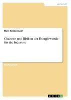 Chancen und Risiken der Energiewende für die Industrie