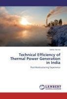 Technical Efficiency of Thermal Power Generation in India