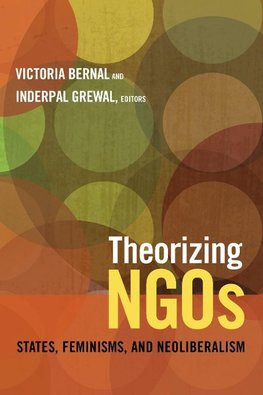 Theorizing NGOs