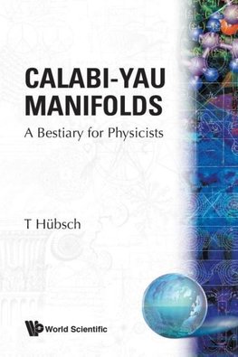 CALABI-YAU MANIFOLDS