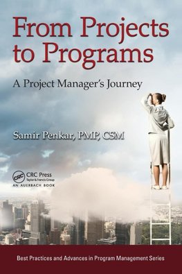 From Projects to Programs