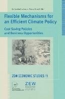 Flexible Mechanisms for an Efficient Climate Policy