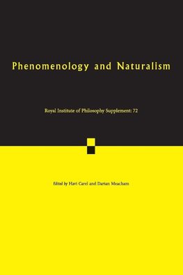 Phenomenology and Naturalism