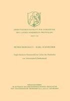 Anglo-friesische Runensolidi im Lichte des Neufundes von Schweindorf (Ostfriesland)