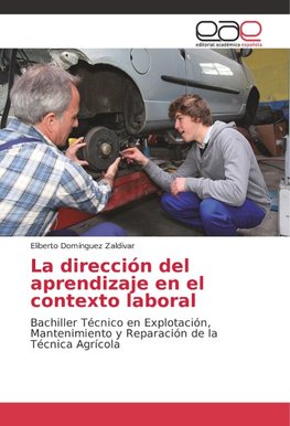 La dirección del aprendizaje en el contexto laboral