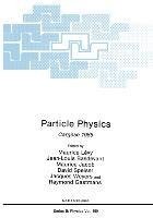 Particle Physics