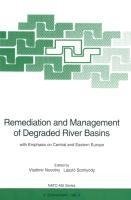 Remediation and Management of Degraded River Basins