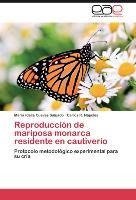 Reproducción de mariposa monarca residente en cautiverio