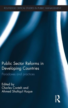 Public Sector Reforms in Developing Countries