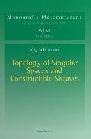 Topology of Singular Spaces and Constructible Sheaves