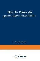 Über die Theorie der ganzen algebraischen Zahlen