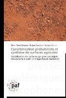 Caractérisation probabiliste et synthèse de surfaces agricoles