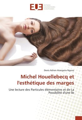 Michel Houellebecq et l'esthétique des marges