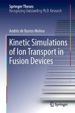 Kinetic Simulations of Ion Transport in Fusion Devices