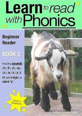 Learn to Read Rapidly With Phonics