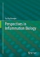 Perspectives in inflammation biology