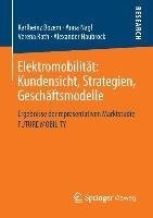 Elektromobilität: Kundensicht, Strategien, Geschäftsmodelle