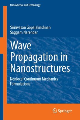 Wave Propagation in Nanostructures