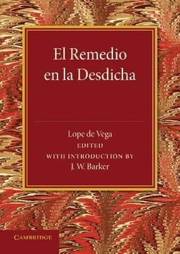 El Remedio En La Desdicha