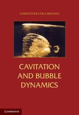 Cavitation and Bubble Dynamics