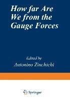 How Far Are We from the Gauge Forces