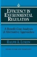 Efficiency in Environmental Regulation