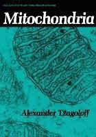 Mitochondria