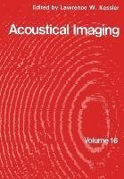 Acoustical Imaging