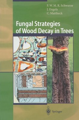 Fungal Strategies of Wood Decay in Trees