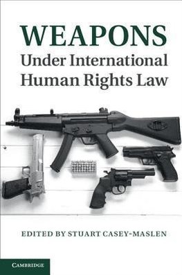 Weapons Under International Human Rights Law