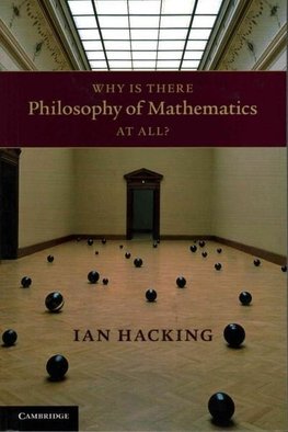 Why Is There Philosophy of Mathematics At All?