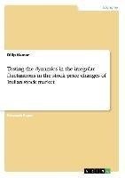 Testing the dynamics in the irregular fluctuations in the stock price changes of Indian stock market