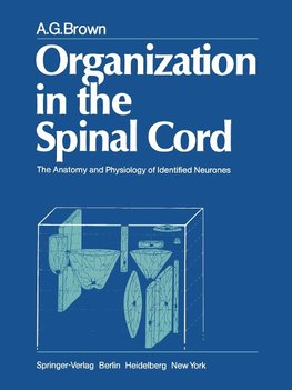 Organization in the Spinal Cord