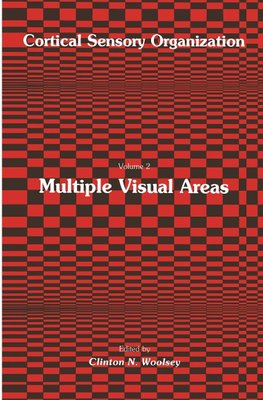 Multiple Visual Areas