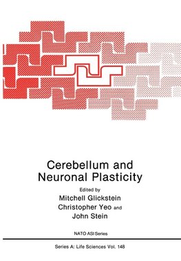 Cerebellum and Neuronal Plasticity