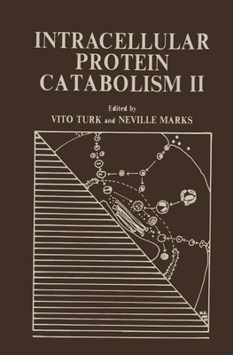 Intracellular Protein Catabolism II