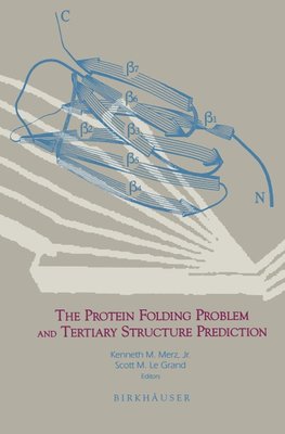 The Protein Folding Problem and Tertiary Structure Prediction