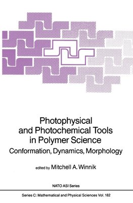 Photophysical and Photochemical Tools in Polymer Science