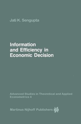 Information and Efficiency in Economic Decision