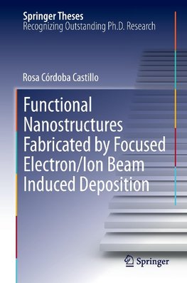 Functional Nanostructures Fabricated by Focused Electron/Ion Beam Induced Deposition