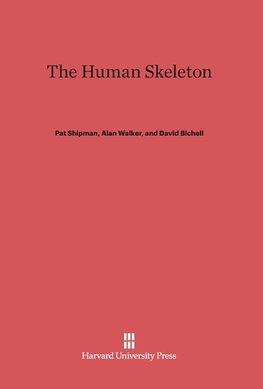 The Human Skeleton