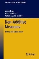 Non-Additive Measures